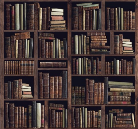 Ancient books photowallpaper Scandiwall