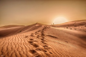 Desert dunes II paveikslėlis
