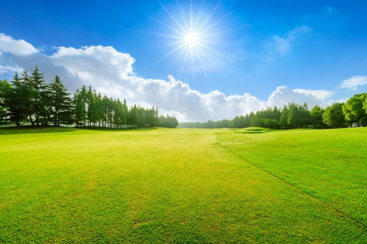 Obrázek Summer Golf