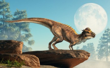 Slika Pachycephalosaurus