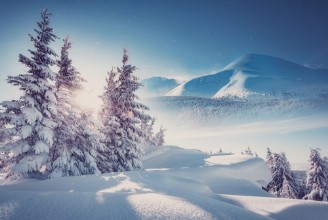 Poza cu Carpathian Mountains