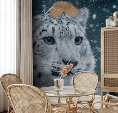 Picture of Baby snøleopard