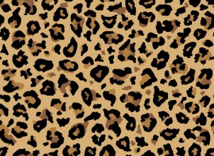 Immagine di Leopard Fur Pattern