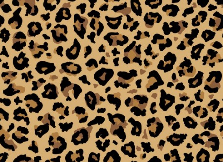 Picture of Leopard Fur Pattern