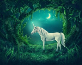 Obrazek Shining Unicorn