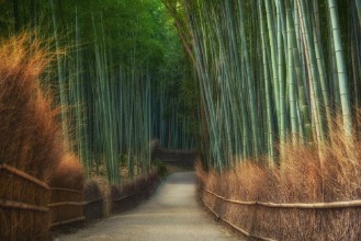 Attēls Arachiyama park