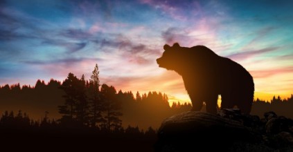 Obrázok z Big bear silhouette