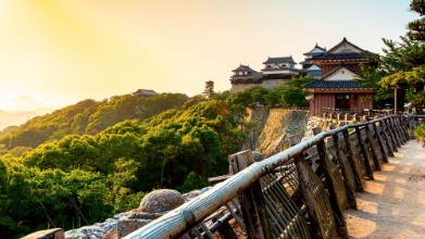 Εικόνα της Castle in Matsuyama