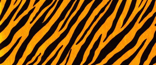 Slika Tigerhud I