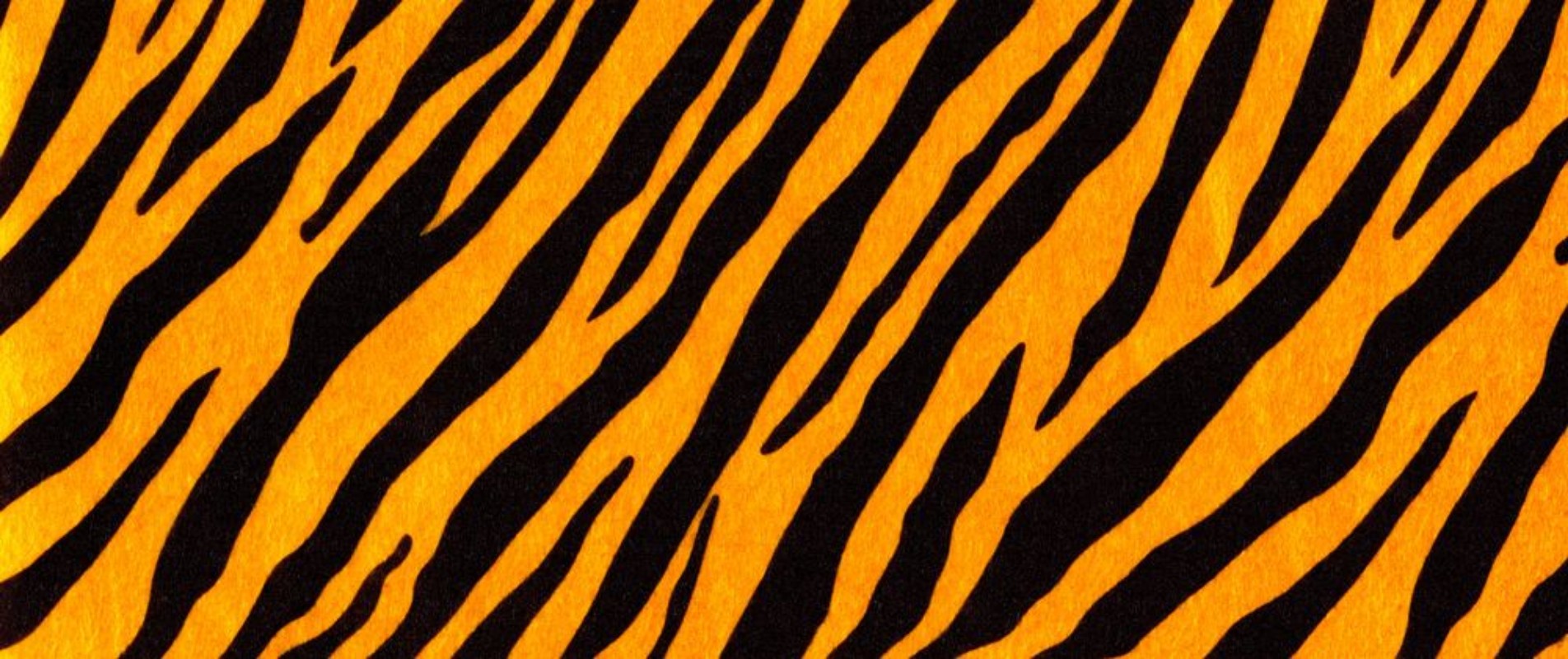 Picture of Tiger Skin I