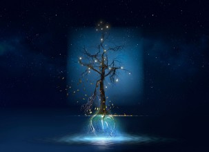 Bild vun Floating tree