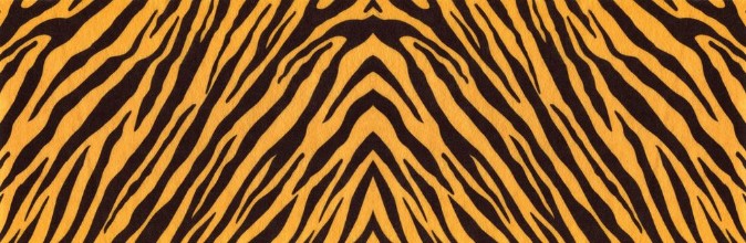 Image de Tiger skin III