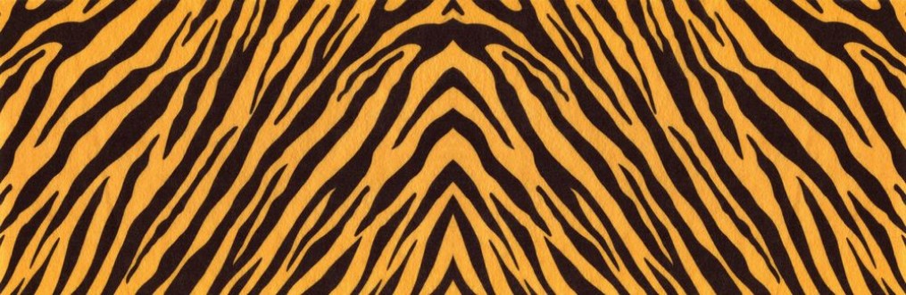Picture of Tiger skin III