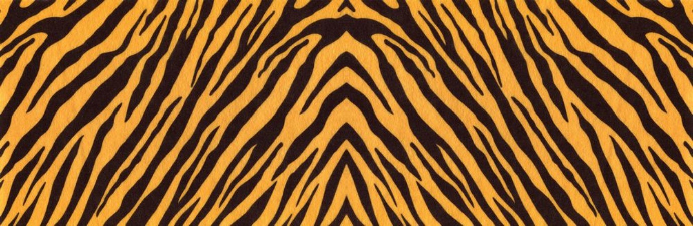 Afbeeldingen van Tiger skin III