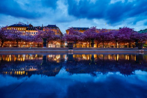 Image de Kungsträdgården Stockholm