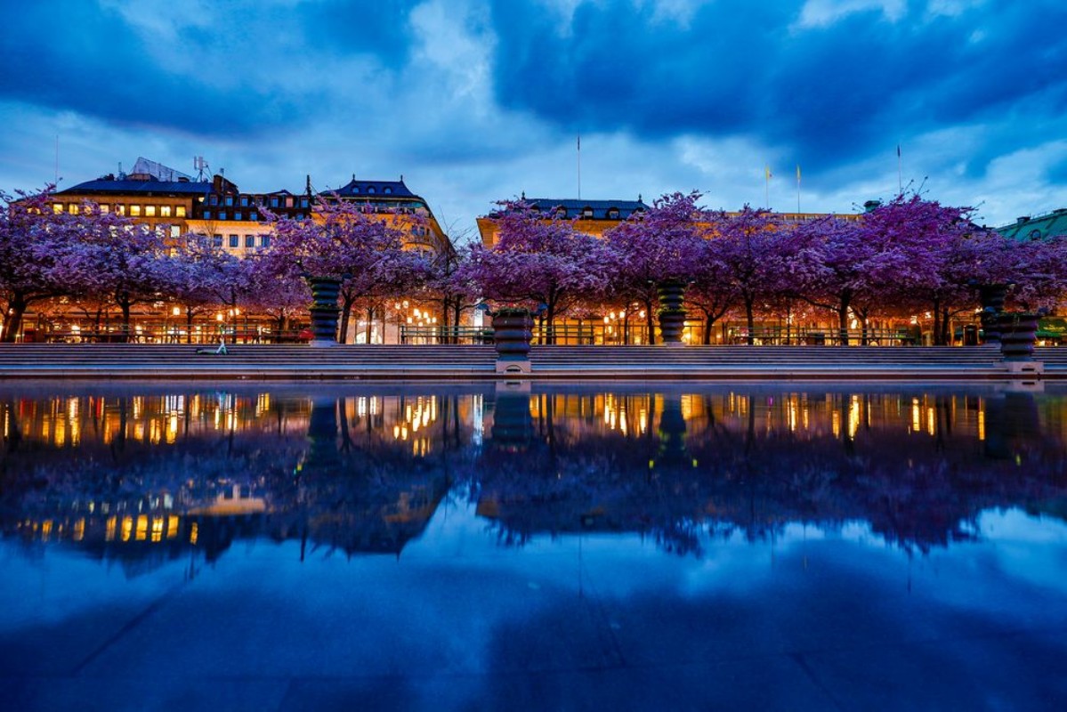 Picture of Kungsträdgården Stockholm