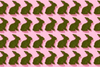 Image de Grass easter rabbits
