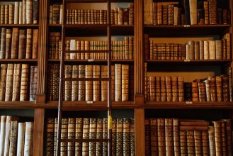 Slika Grand Chateau Bibliothèque
