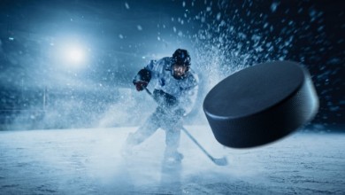 Picture of Flying Puck