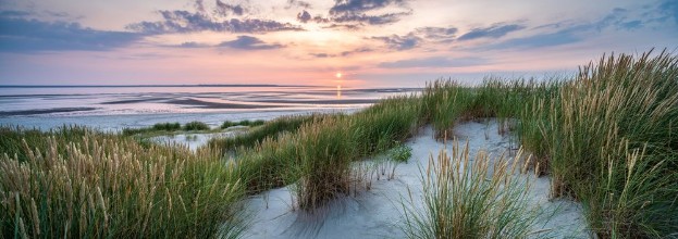 Pilt Sunset at the beach
