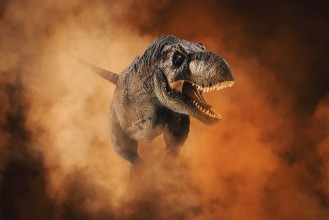 Image de T-rex