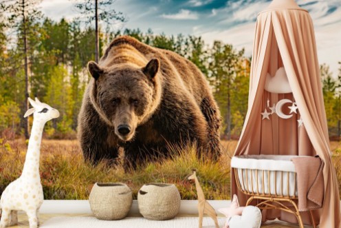 Picture of Brun bjørn