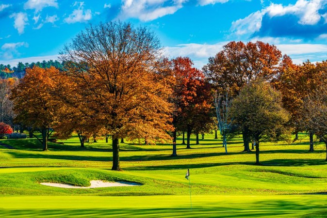 Autumn In The Golf Course photowallpaper Scandiwall
