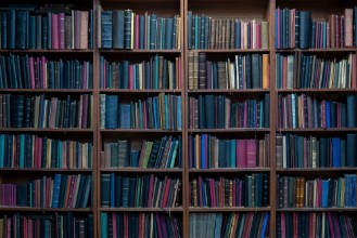 Picture of Bookshelf Background