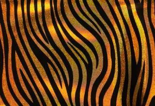 Slika Tiger skin II