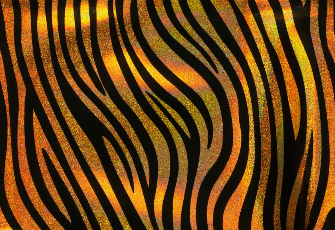 Slika Tiger skin II