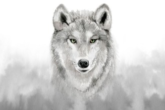 Slika Watercolor grey wolf