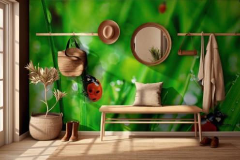 Afbeeldingen van Ladybugs on grass