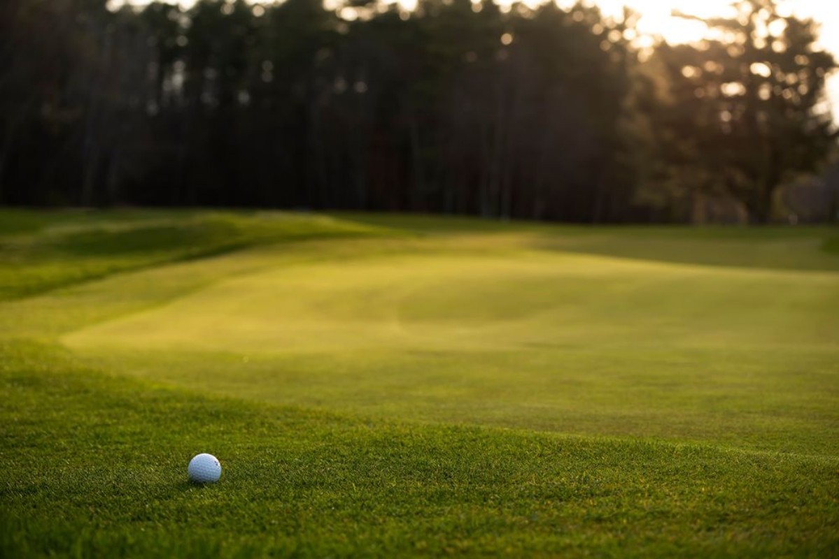 Obrázek Golf Ball On The Green Grass