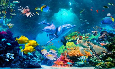 Slika Reef II