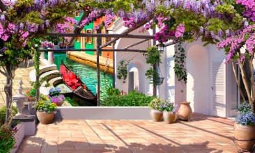 Picture of Beautiful courtyard