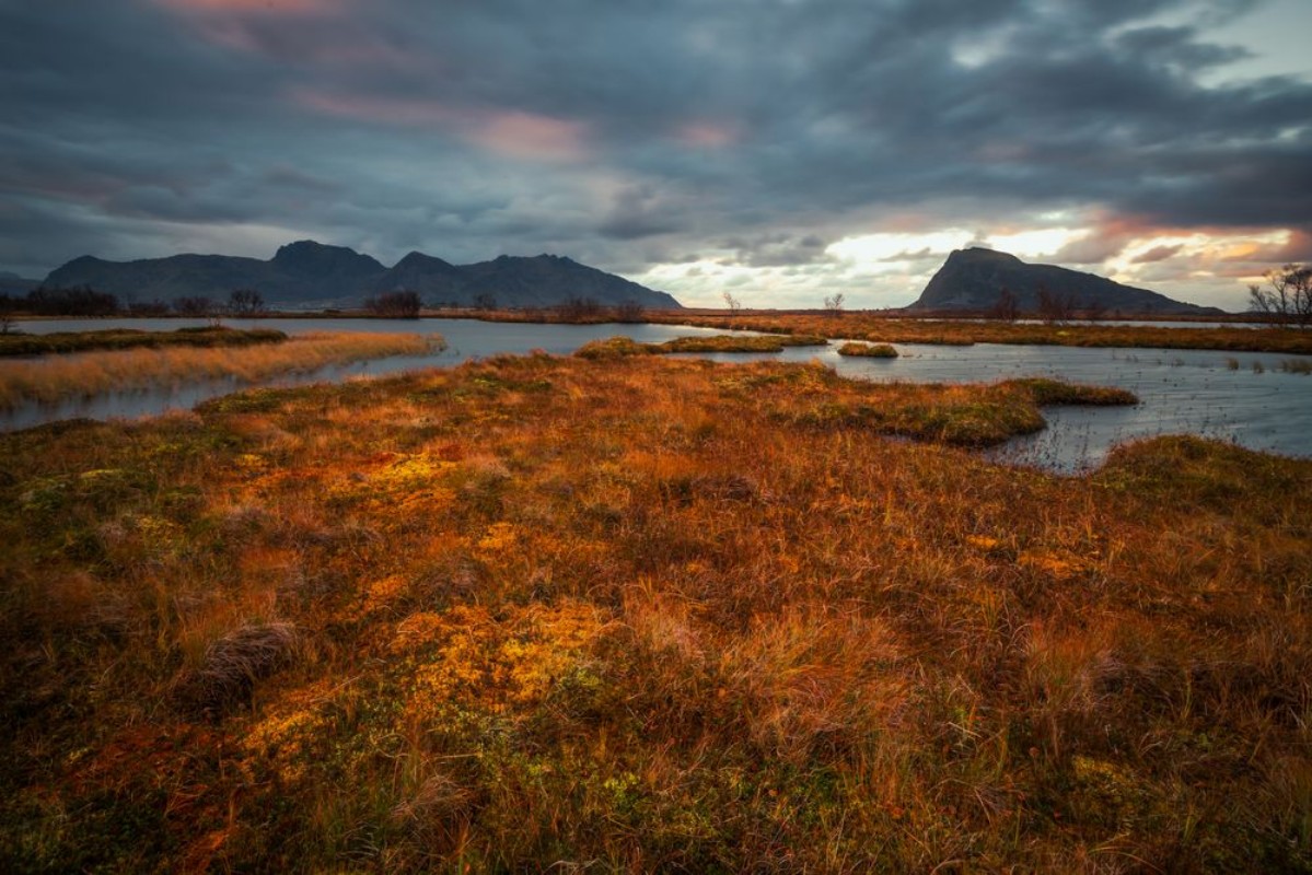 Picture of Autumn in Norway