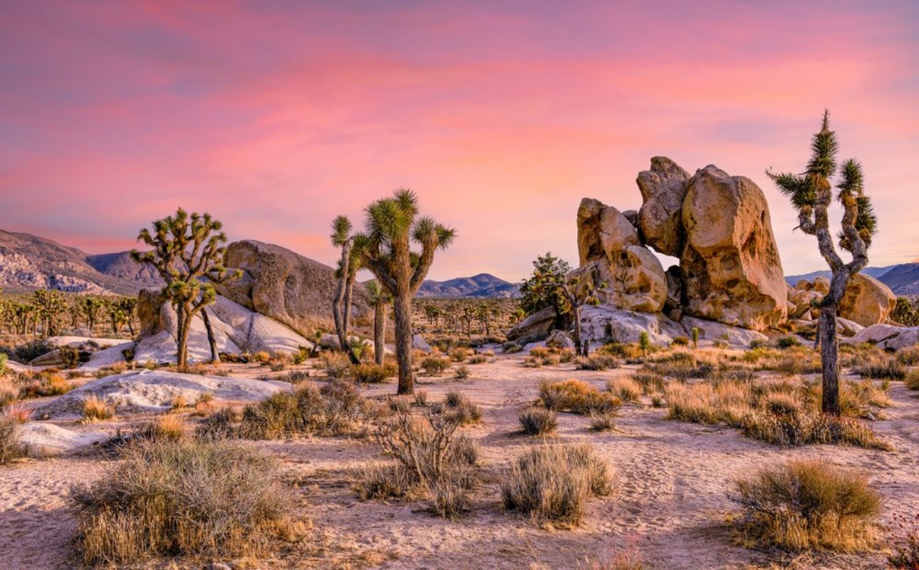 Image de Desert landscape I
