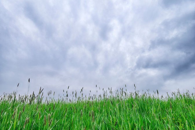 Picture of Cloudy sky