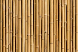 Imagem de Bamboo fence