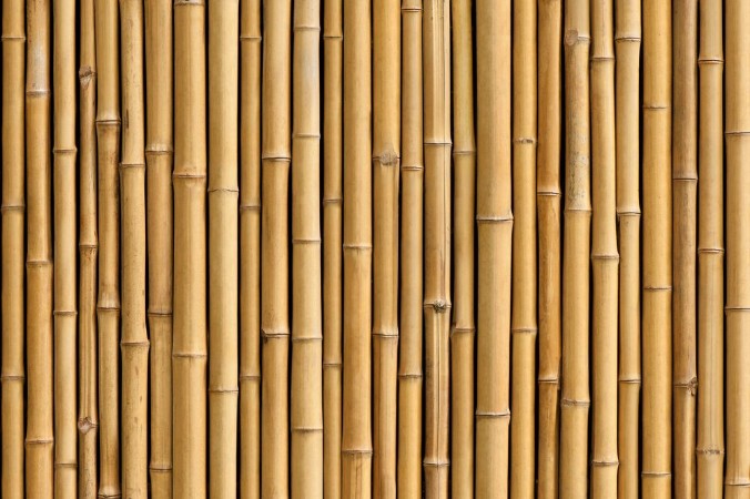 Bamboo fence photowallpaper Scandiwall
