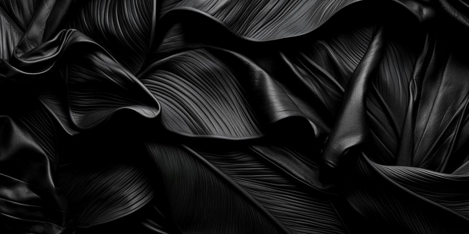 Image de Black leaves