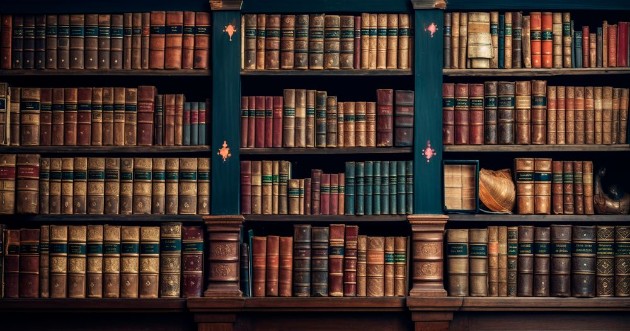 Afbeeldingen van Shelf of Dreams