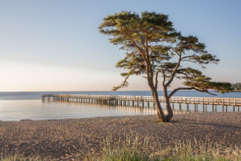 Picture of Åhus Sweden