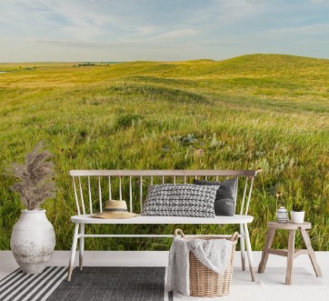 Image de Grass Landscape