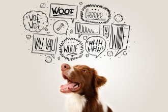 Afbeeldingen van Dog with barking bubbles