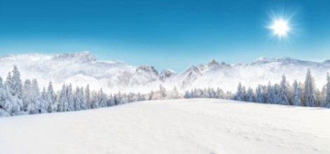 Obrázek Winter snowy landscape