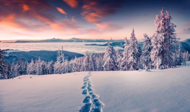 Image de Footprints