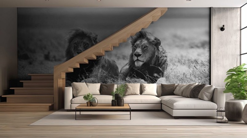 Afbeeldingen van Two kings