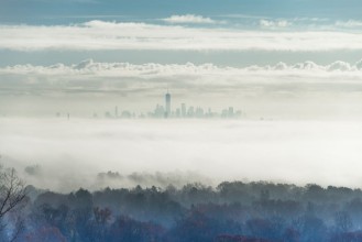 Picture of City in the Mist