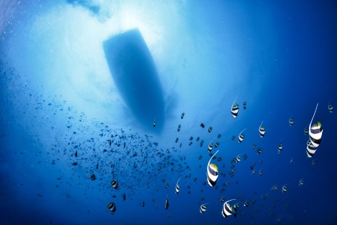 Afbeeldingen van Storm